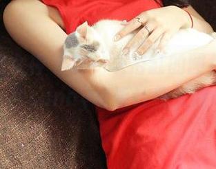 TGOD推女神 – 这一块浴缸的图包，莫晓茜sunny非要让我关注